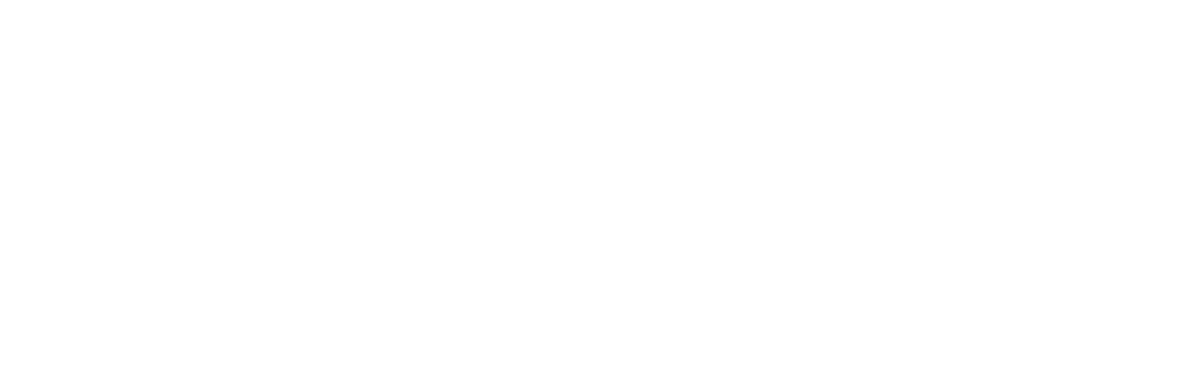 205 Česká průmyslová pojišťovna